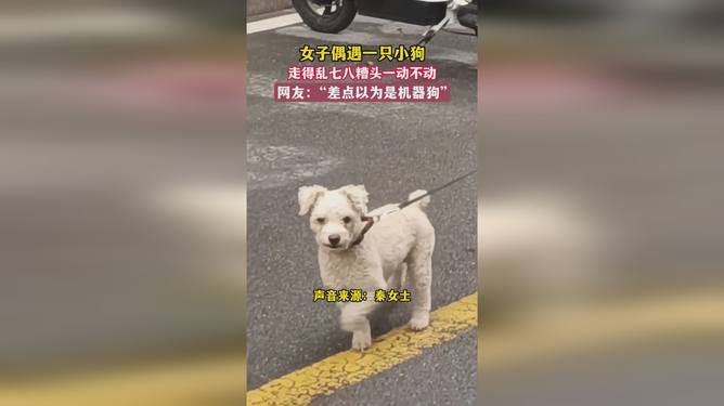 花开无言 第186页