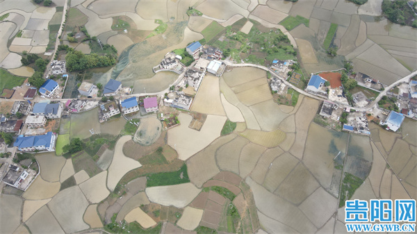 贵安新区高峰镇最新消息,一、高峰镇经济发展状况
