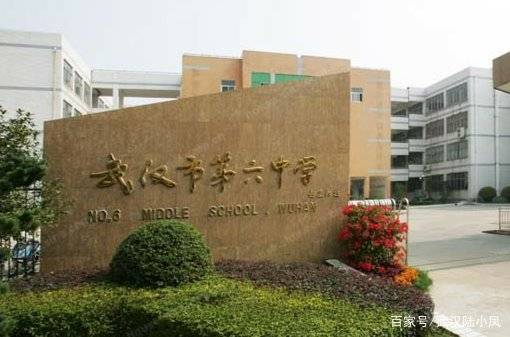 武汉领事馆最新进展,武汉领事馆最新进展揭秘