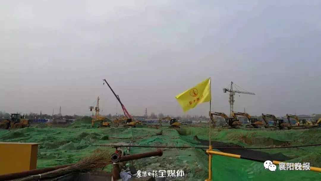 花开无言 第177页