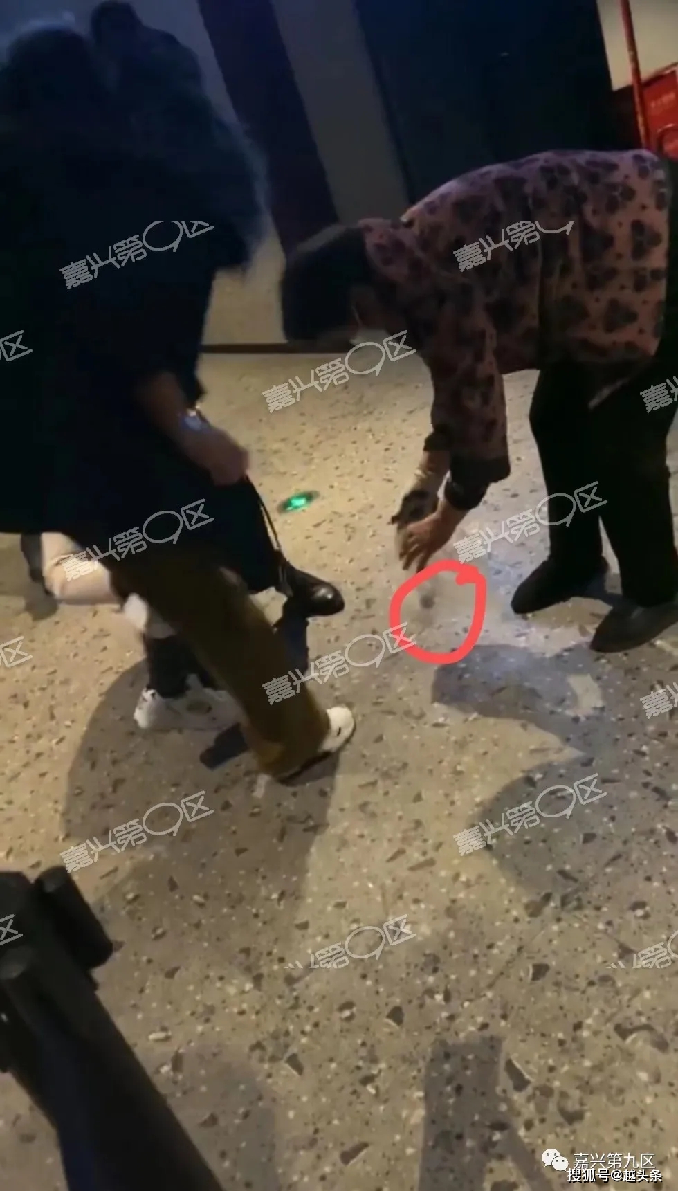 应对与预防指南，老鼠窜入女孩衣物内的安全须知