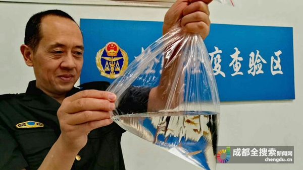 探寻新闻人物最新轨迹与时代印记，闪耀之星在行动（或闪耀之星新闻人物最新动态）
