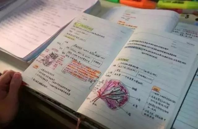 admin 第168页