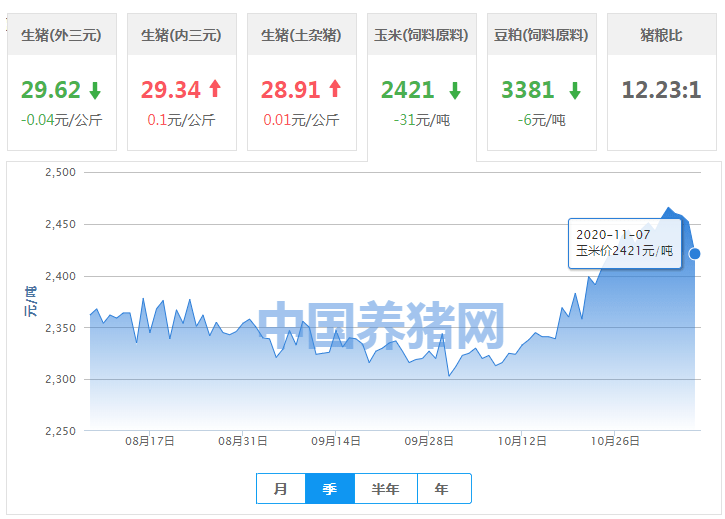 揭秘谢宛然，最新动态与成就——11月7日更新速递