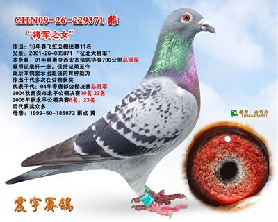 阜阳飞虹公棚彩虹温馨周，家庭美好时光记录