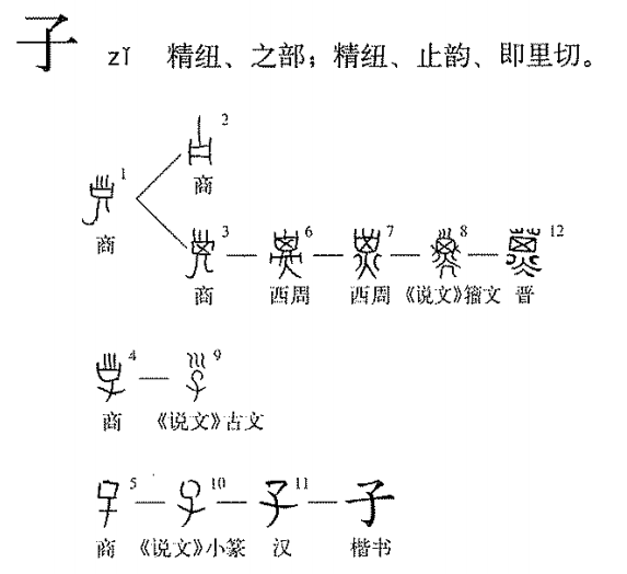 产品展示 第959页