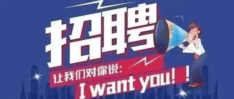 探寻人才与机遇交汇点，庆云招聘网11月最新招聘盛况发布