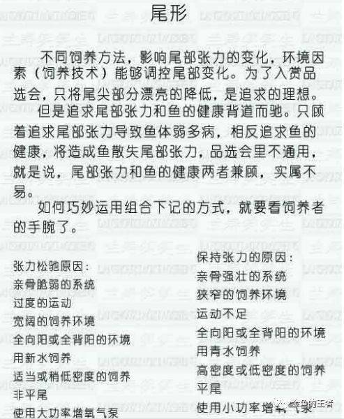 2024正版资源免费集锦：一肖须眉解析实践指南 CEY62.308儿童专用版