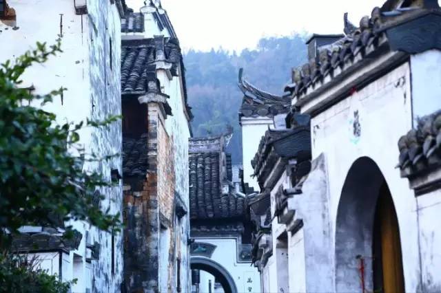 历史上的11月16日伊美态势与小巷特色小店的奇遇探秘