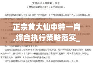 正宗黄大仙中特一肖,综合执行策略落实_BZE4.48.78远程版