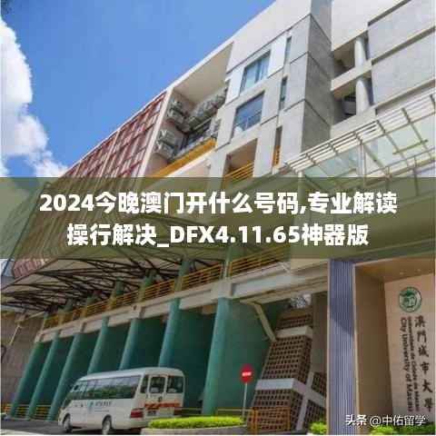 2024今晚澳门开什么号码,专业解读操行解决_DFX4.11.65神器版