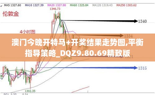 澳门今晚开特马+开奖结果走势图,平衡指导策略_DQZ9.80.69精致版