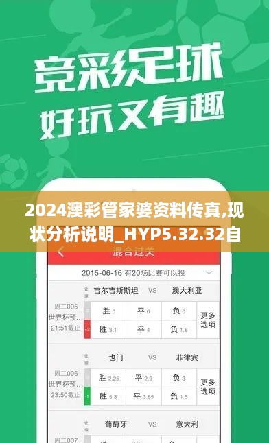 2024澳彩管家婆资料传真,现状分析说明_HYP5.32.32自由版