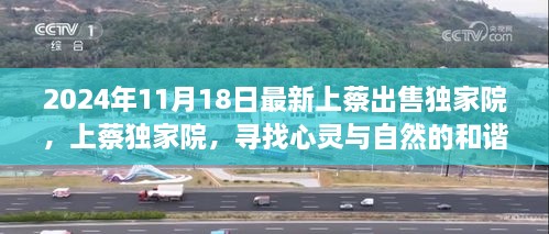花开无言 第53页