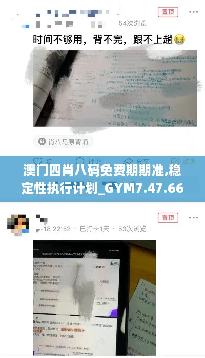 澳门四肖八码免费期期准,稳定性执行计划_GYM7.47.66触感版