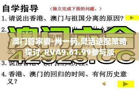 澳门管家婆-肖一码,灵活适配策略探讨_RVA9.61.99参与版
