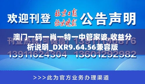 澳门一码一肖一特一中管家婆,收益分析说明_DXR9.64.56兼容版