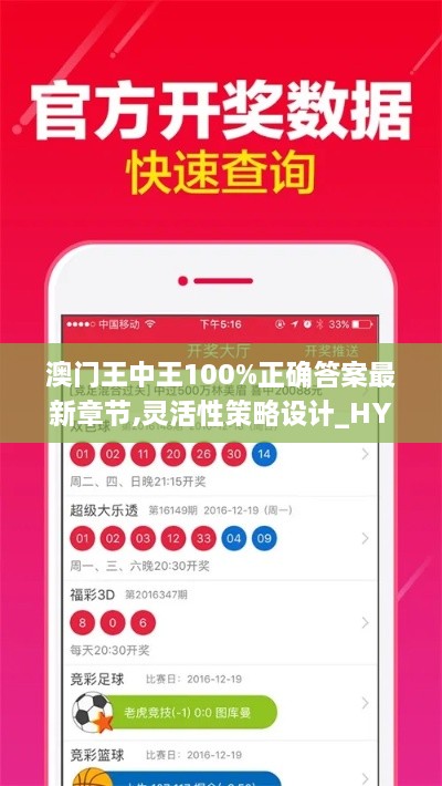 澳门王中王100%正确答案最新章节,灵活性策略设计_HYJ8.49.94瞬间版