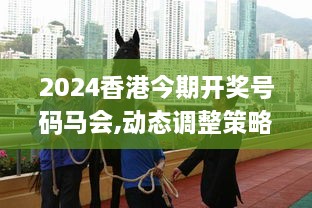 jiankupusu 第26页