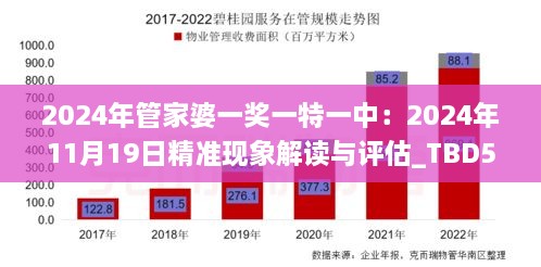 2024年管家婆一奖一特一中：2024年11月19日精准现象解读与评估_TBD5.40.60内容创作版
