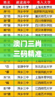 澳门三肖三码精准分析：凤鸣艺术全面数据策略于11月19日实施_FJA3.61.47版本