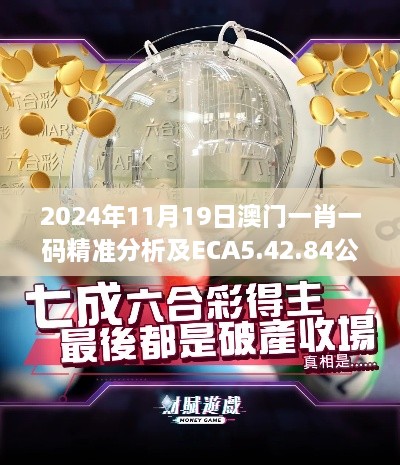 2024年11月19日澳门一肖一码精准分析及ECA5.42.84公积板解读