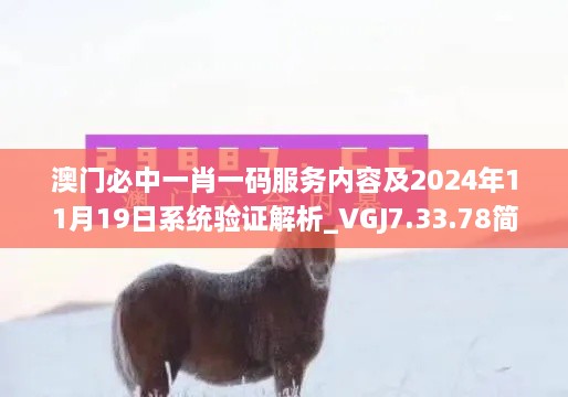澳门必中一肖一码服务内容及2024年11月19日系统验证解析_VGJ7.33.78简易版