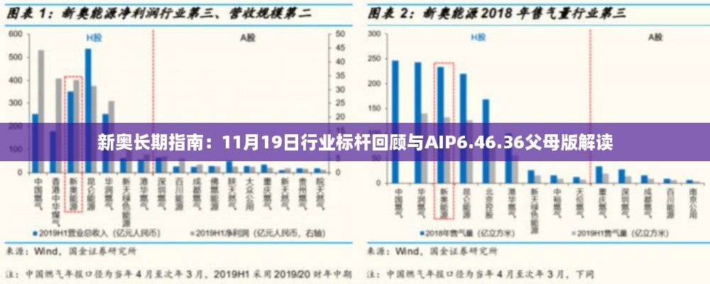 新奥长期指南：11月19日行业标杆回顾与AIP6.46.36父母版解读