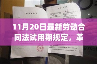 2024年11月21日 第83页