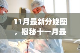 2024年11月21日 第70页