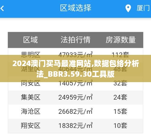 2024澳门买马最准网站,数据包络分析法_BBR3.59.30工具版