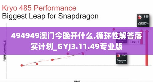 494949澳门今晚开什么,循环性解答落实计划_GYJ3.11.49专业版