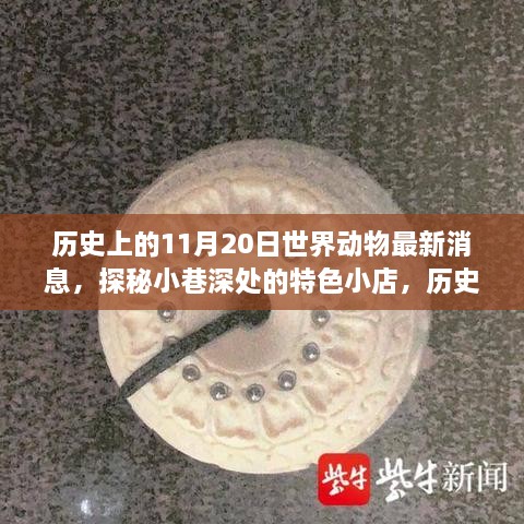 揭秘历史上的动物动态，最新消息与小巷深处的特色小店探秘日（11月20日）
