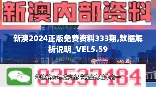 新澳2024正版免费资料333期,数据解析说明_VEL5.59