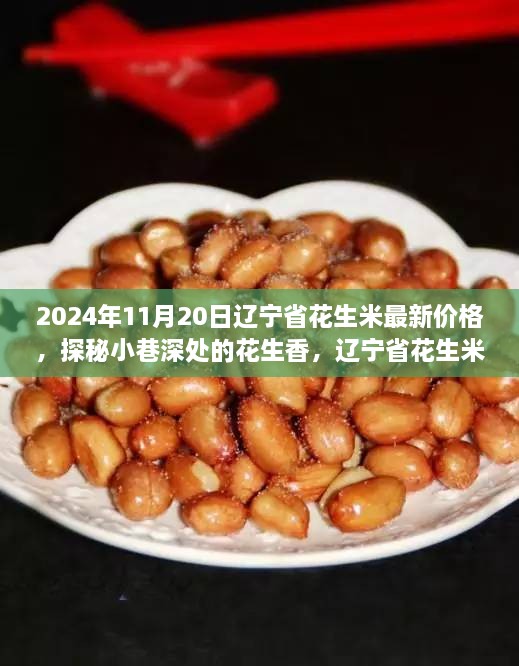 辽宁省花生米最新价格及特色花生小店探秘之旅（2024年11月20日）