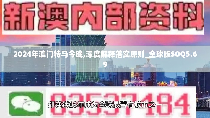 2024年澳门特马今晚,深度解释落实原则_全球版SOQ5.69