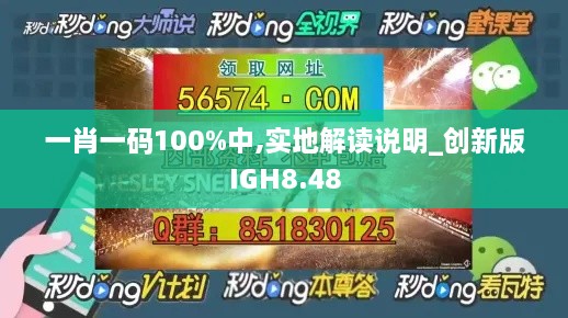 一肖一码100%中,实地解读说明_创新版IGH8.48
