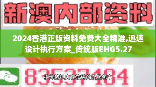 2024香港正版资料免费大全精准,迅速设计执行方案_传统版EHG5.27