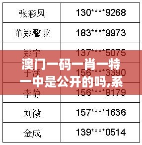 澳门一码一肖一特一中是公开的吗,系统解析解答解释现象_nShopUPA3.30