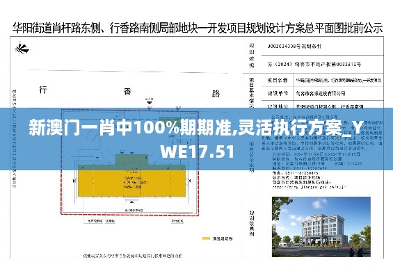 新澳门一肖中100%期期准,灵活执行方案_YWE17.51