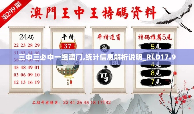 三中三必中一组澳门,统计信息解析说明_RLD17.9
