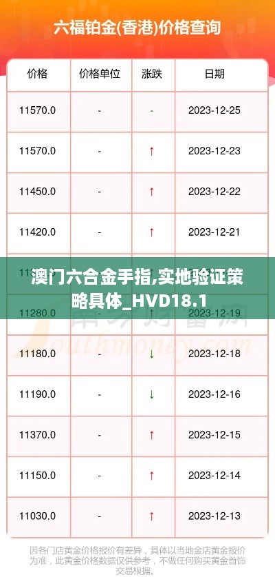 澳门六合金手指,实地验证策略具体_HVD18.1