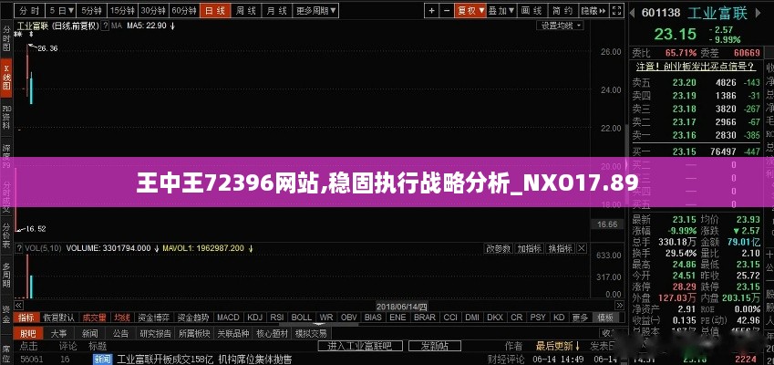 王中王72396网站,稳固执行战略分析_NXO17.89
