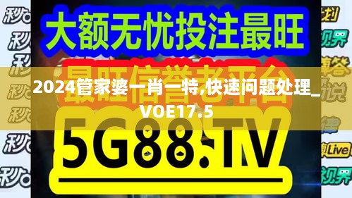 2024管家婆一肖一特,快速问题处理_VOE17.5