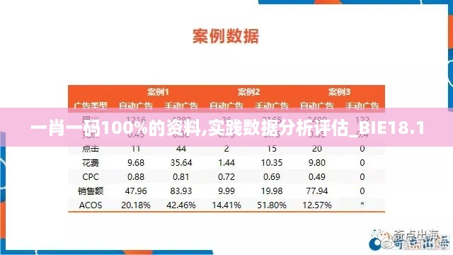 一肖一码100%的资料,实践数据分析评估_BIE18.1