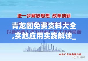 青龙阁免费资料大全,实地应用实践解读_AGY18.99