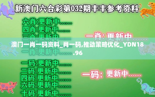 澳门一肖一码资料_肖一码,推动策略优化_YDN18.96