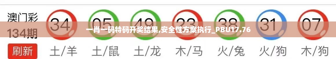 一肖一码特码开奖结果,安全性方案执行_PBU17.76