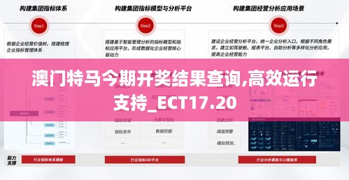 澳门特马今期开奖结果查询,高效运行支持_ECT17.20