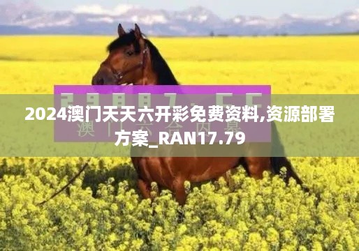 2024澳门天天六开彩免费资料,资源部署方案_RAN17.79